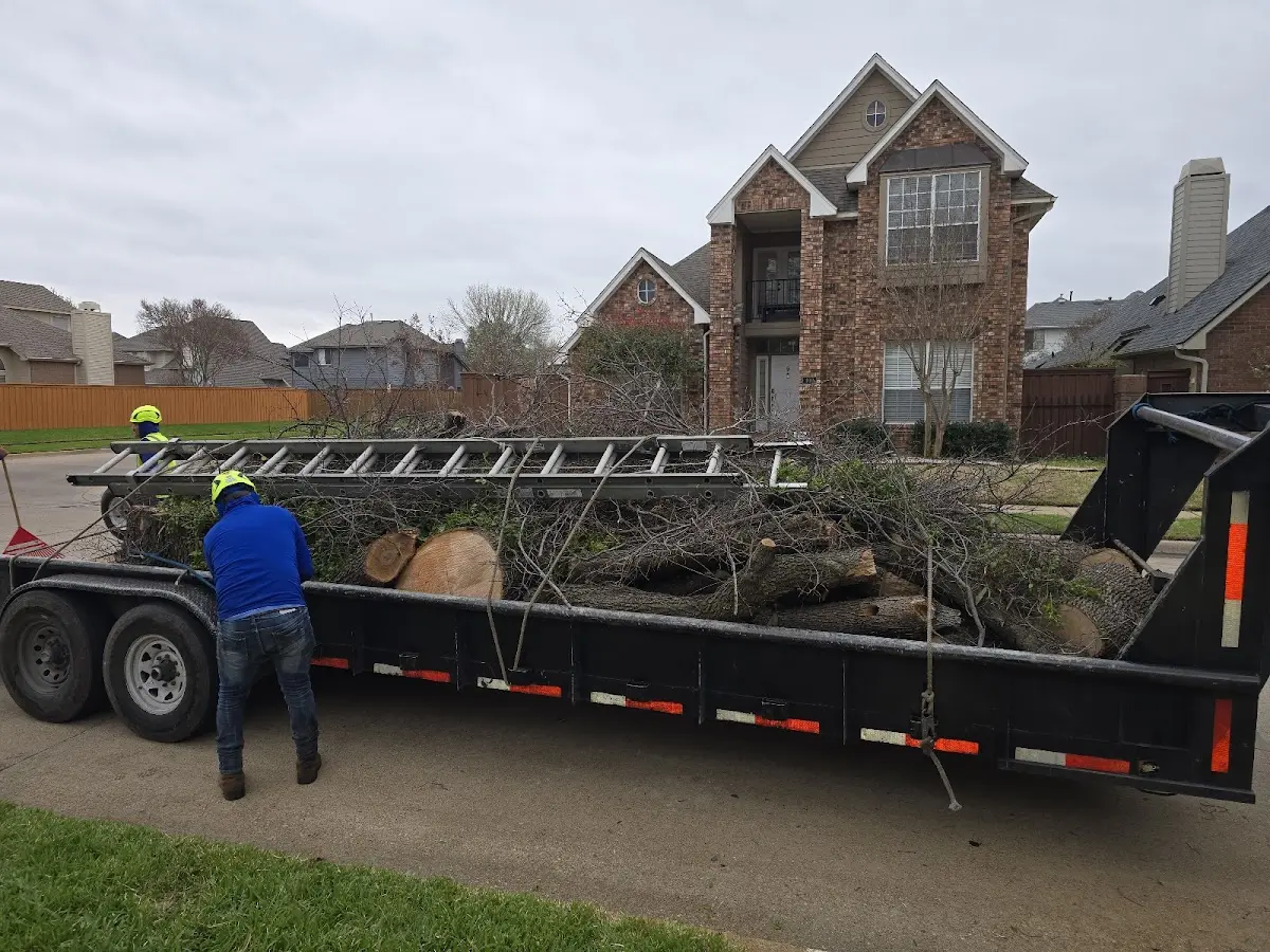 Expert Tree Fertilization with proper safety equipment in Elmaton